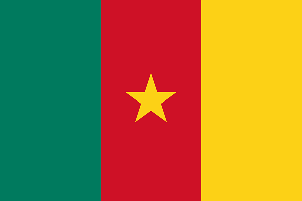 Cameroon Flag Food Explorers
