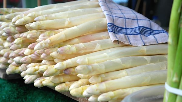 Food-Explorers-Spargel